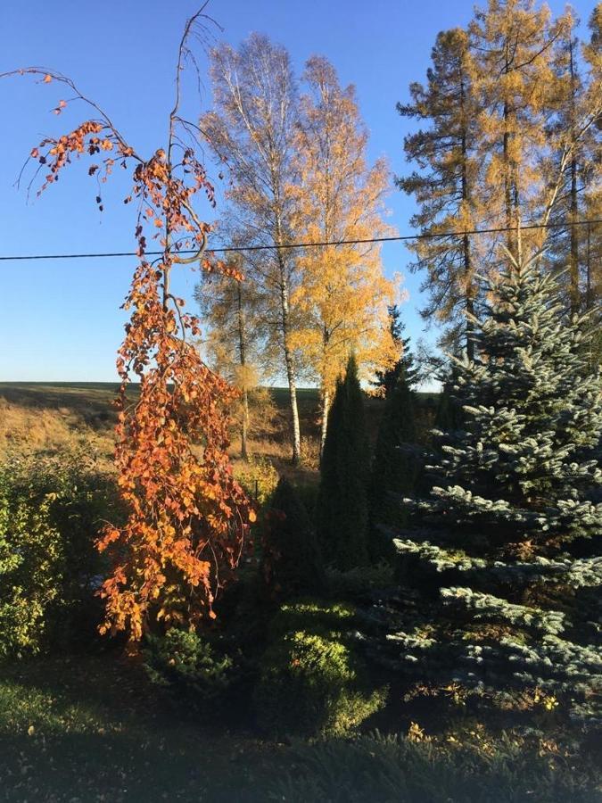 Penzion Kunvald Konciny Eksteriør bilde